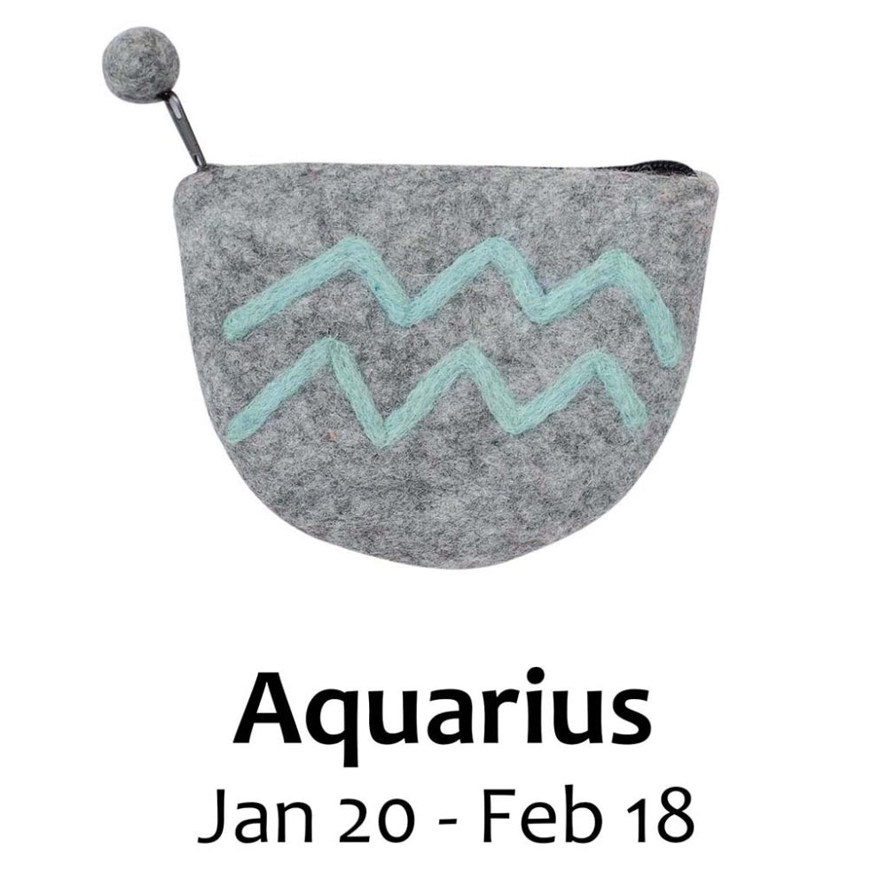 Zodiac Purse, AQUARIUS