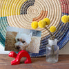 Colorful Soapstone Photo/Card Stands in Whimsical Yogi Poses with Cat and Dog