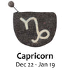 Zodiac Purse, CAPRICORN