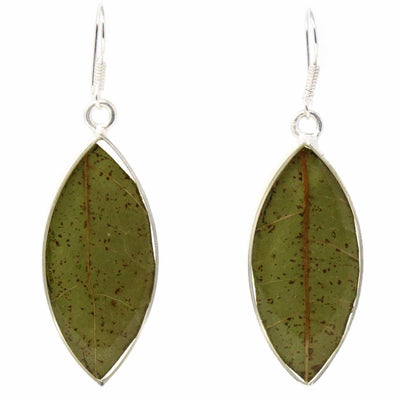 Alpaca Silver Pressed Leaf Earrings