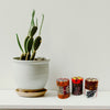 Unscented Hand-Painted Votive Candles, Boxed Set of 3 (Uzima Design)