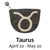 Zodiac Purse, TAURUS